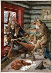 Attaque de loups. Ataque de lobos.
