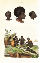 Aborígenes australianos e cabeças de nativos de Waigeo, Papua Ocidental1834-1839 (gravura)