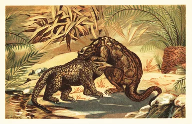 Batalha entre um Megalosaurus bucklandii e Iguanodon bernissar1908 (litografia)