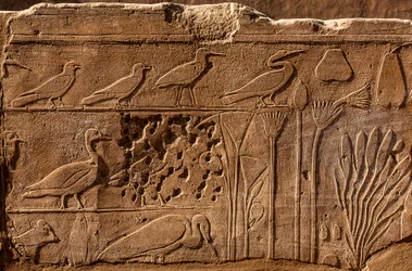 Jardim Botânico de Thutmosis III com representações em relevo de plantas e animais, Templo de Karnak, Luxor, Tebas, Egipto, África (foto)