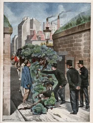 Braconnier a Paris. Caça furtiva em Paris.