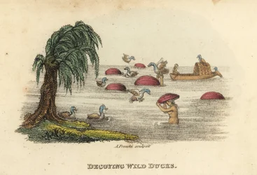 Homens chineses a caçar patos selvagens com chapéus de cabaça de engodo no rio, dinastia Qing. Gravura em chapa de cobre colorida à mão, de Andrea Freschi, segundo Antoine Cardon, da obra de Henri-Leonard-Jean-Baptiste Bertin e Jean Baptiste Joseph Breton 