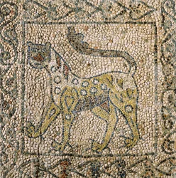 Igreja de São João Evangelista, Quarta Cruzada, Fragmentos de chão de mosaico representando pantera manchada, Ravenna, Emilia-Romagna, Itália