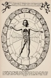 Correspondência entre o microcosmo e o macrocosmo. Placa extraída de "Mundus subterraneus" de Athanase Kircher (1601-1680)