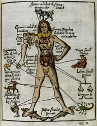 Cosmografia do século XVI: o homem zodiacal