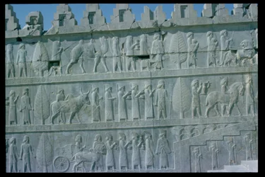 Detalhe do friso em relevo na escadaria leste da Apadana (sala de audiências) retratando delegados das terras do império com presentes generosos para uma cerimônia, período Aquemeniano, c.515 a.C. (pedra calcária) (para detalhes ver 112356 & 117115)