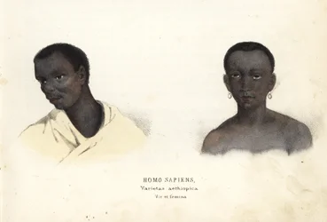 Homem e mulher etíopes. Gravura em metal aço colorida à mão da Galeria de História Natural de Georg Friedrich Treitschke, Naturhistorischer Bildersaal des Thierreiches, Liepzig-1842.