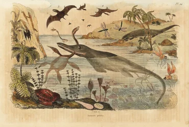 Dinossauros extintos, ictiossauros, plesiossauros, animais marinhos, pterodáctilos, lagartos, tartarugas, insectos, peixes, lulas, moluscos, etc.