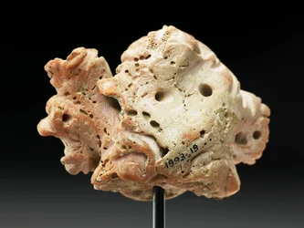 Cabeça da Medusa, de Bactria ou Gandhara, século 2 a 1 a.C. (coral rosa)