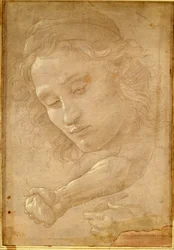 Chefe de uma juventude, extraído de uma página do "Livro dos desenhos", de Georgio Vasari