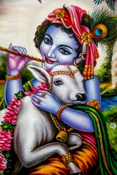 O deus hindu Krishna com um bezerro. Watford, Reino Unido (foto)