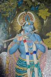 Hinduísmo; pintura do Senhor Krishna com flauta; Templo Durgiana Mandir Vishnu; Amritsar; Punjab; Índia; Sul da Ásia; Ásia