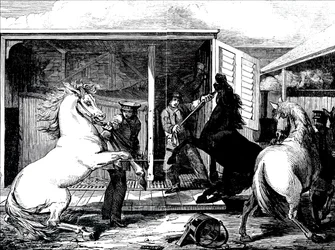 Cavalos na estação de comboios de Gloucester.