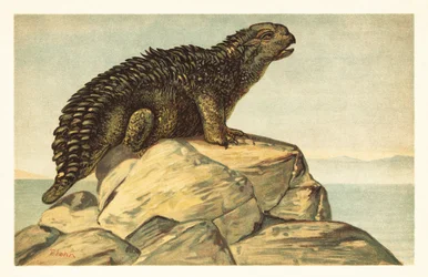 Hylaeosaurus armatus, dinossauro anquilosauriano herbívoro extinto1908 (litografia)