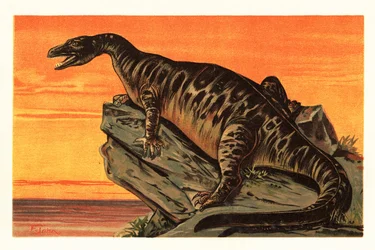 Iguanodon bernissartensis, espécie extinta de Iguanodontian dino1908 (litografia)