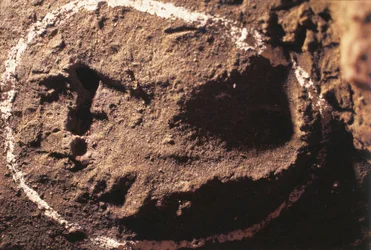Itália, Ligúria, Gruta de Toirano, pegadas de caçador pré-histórico