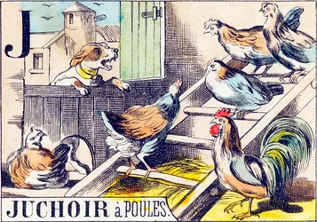 J Juchoir a poules - "Alfabeto da fazenda" final do século XIX (gravura)