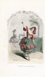 La fee de la fleur de grenade danse - Gravura de Charles Geoffroy (1819-1882), baseada numa ilustração de Jean Ignace Isidore Gerard dit J.J.J.Granville (1803-1847), para Les fleurs animees