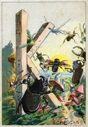 Carta K como Korrigans. O alfabeto artístico do Sr. Marinier. Editado por Henry Sicard, finais do século XIX. Cromolitógrafos publicitários para produtos vendidos em farmácias. Dim: 12,5 x 9 cm