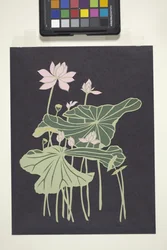 Lotus (papel cortado multicolorido)