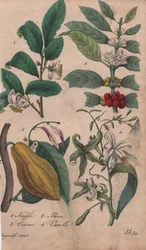 Produtos de luxo