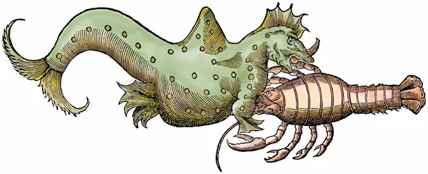 Dragão marinho e crustáceo gigante, xilografia extraída de "Paralipomena accuratissima historiae omnium animalium quae in voluminibus Aldrovandi desiderantur/Bartholomaeus Ambrosinus... summo labore collegit; Marcus Antonius Berna bibliopola bononiensis p