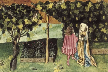 Miniatura sobre uvas, fruto que reduz a gordura abdominal e emagrece - IBN BUTLAN, Abu-l Hasan al-Mujtar (c. 1001 - 1066). Médico e filósofo cristão nestoriano de Bagdade. Fólio 83r. Ilustração sobre as uvas, fruto que diminui a gordura do ventre e emagrec