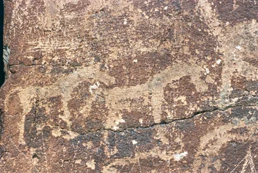 Mongólia, Deserto de Gobi, gravura rupestre