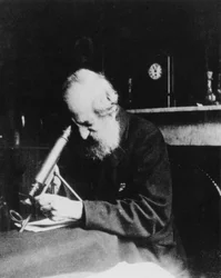 Mordecai Cubitt Cooke, escritor e ilustrador inglês, c 1900