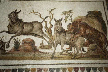 Mosaico de lutas de animais: ataque de tigre a dois primatas nocturnos. II