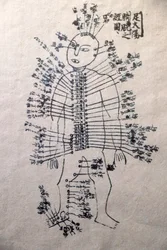 Museum of Traditional Vietnamese Medicine, The channels and vessels, Livro de acupunctura, Cidade de Ho Chi Minh, Vietname