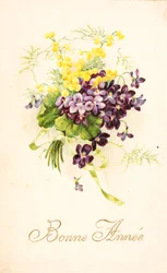 Cartão postal antigo/Violeta e Mimosa