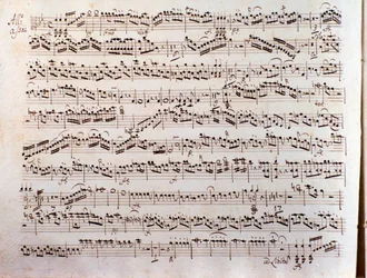 Página de partitura musical de um concertinante Sinfonia de Pleyel