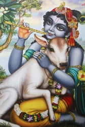 Pintura retratando o deus hindu Krishna tocando flauta e acariciando um bezerro. Índia