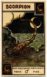 Paranormal. Astrologia. Escorpião (o Escorpião). Carta astrológica de: Le Tarot Astrologique (Tarô Astrológico), de Georges Muchery, França