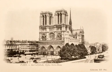 Cartão Postal/Notre Dame/Paris/Seine/Ile de France/France