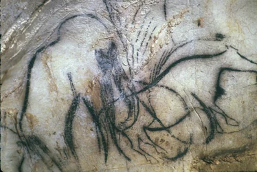 Gruta pré-histórica de Pech Merle/Chapel dos mamutes/25.000 anos/Cabrerets/Lot/Midi Pyrenees/França