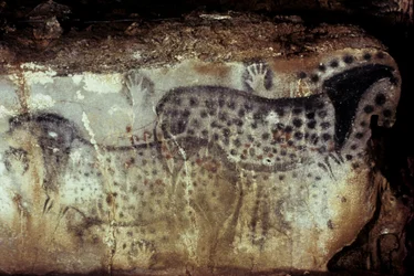 Caverna pré-histórica de Pech Merle/Cavalos de caça e mãos negativas/25.000 anos/Cabrerets/Lot/Midi Pyrenees/França