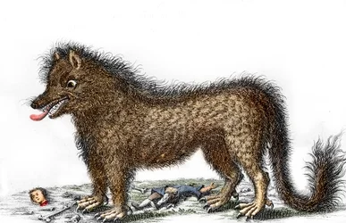 Representação da besta de Gevaudan, com os ossos das suas vítimas espalhados à volta das pernas Gravura de cerca de 1764 (A besta de Gevaudan numa representação de 1764) Coleção particular
