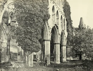 Abadia de Rievaulx, North Yorkshire, Reino Unido