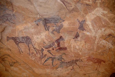 Arte rupestre, Pré-história: Pintura rupestre de gado, um joelho num abrigo adornado no maciço de Uweinat, Sudão (Karkur-Talh ou Karkur Talh). Período de 8000 a 3000 anos antes de Cristo. Fotografia