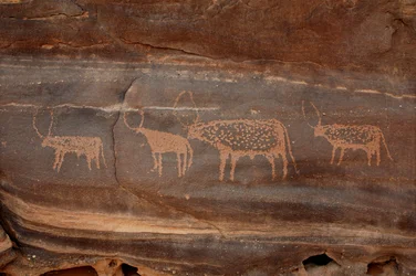 Arte rupestre, Pré-história: Gravura de quatro bovinos no maciço de Uweinat, Sudão (Karkur-Talh ou Karkur Talh). Período de 8000 a 3000 anos antes de Cristo. Fotografia