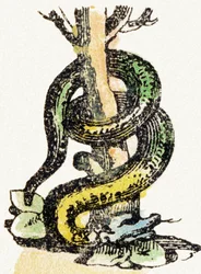 S - Serpente - Alfabeto de entretenimento infantil c.1890 (litografia)