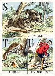 S T U : Sanglier, Terrier, Un accident - The Hunting Alphabet, c.1890 (gravura)