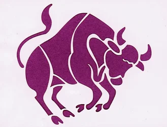 Signo do zodíaco: o touro (signo astrológico: taurus) Colecção privada