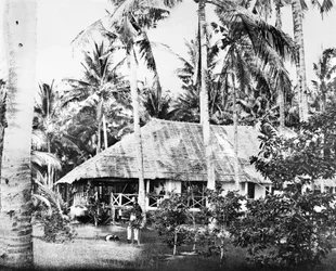 Singapura : Um bungalow privado rodeado por palmeiras. Cingapura, c1875