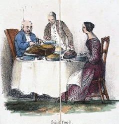 Alimentos sólidos