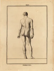 Estátua de Orestes, nu, filho de Agamémnon na mitologia grega