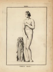 Estátua de Venus Doree (ouro), deusa romana do amor, beleza, sexo e fertilidade
