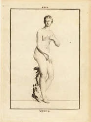 Estátua de Vénus, deusa romana do amor, da beleza, do sexo e da fertilidade